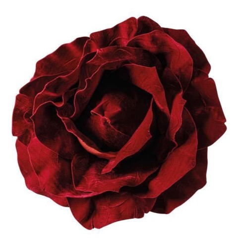 TESTA ROSA 757536 CM - BURGUNDY